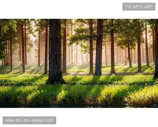 特色秋季森林跑，感受自然的美丽与运动的快乐，秋季森林下载安装